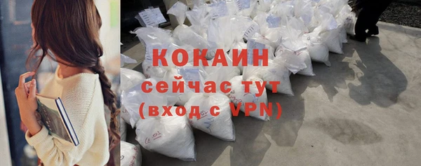 ГАЛЛЮЦИНОГЕННЫЕ ГРИБЫ Абаза