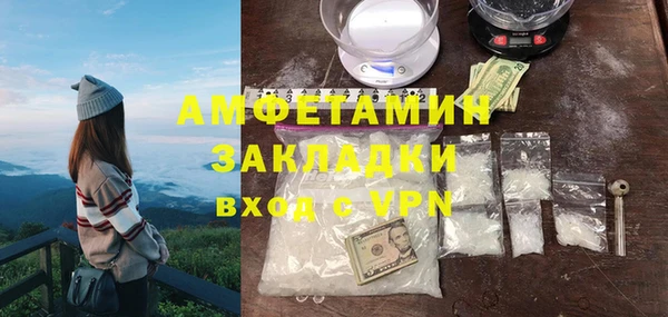 стафф Алзамай