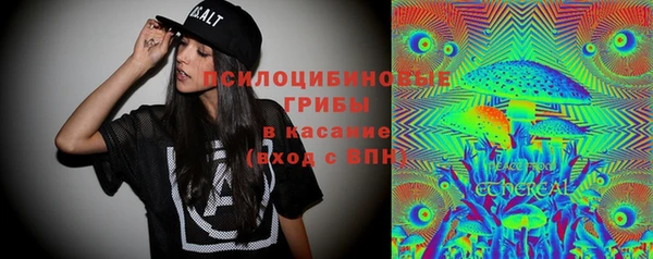 ГАЛЛЮЦИНОГЕННЫЕ ГРИБЫ Абаза